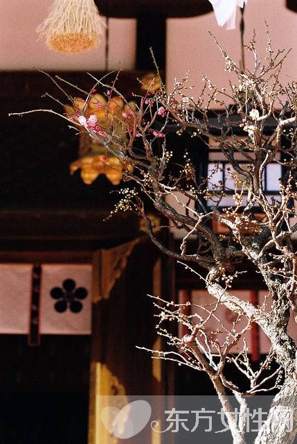 饭后百步走真的科学吗 当心这些危害害了你