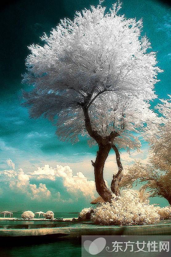 类风湿和风湿有什么区别 治疗的方式是不是截然不同的