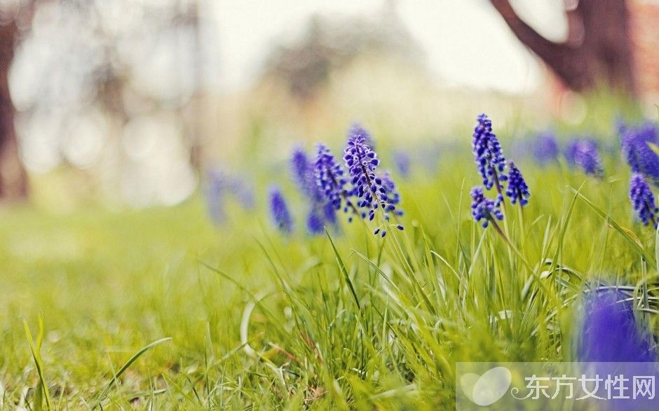 心肌炎后遗症的三大症状 4种治疗方法