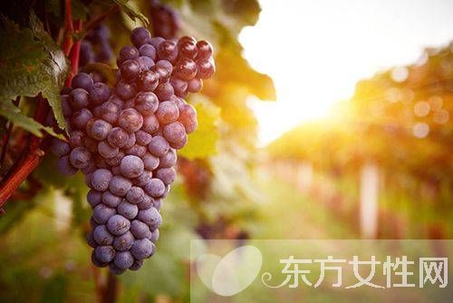 吃紫色食物的好处 健康从吃开始