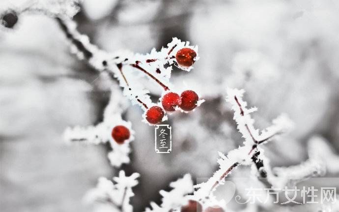 冬至养生4个要点 揭最适合冬至吃的养生食物
