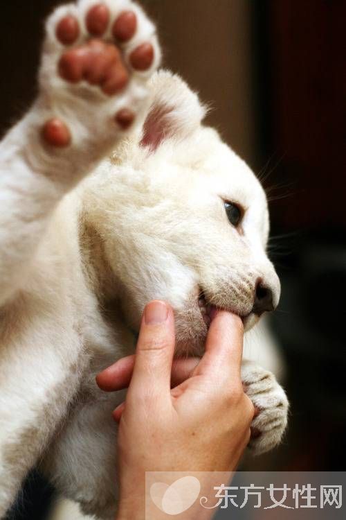 偏瘫患者饮食要注意哪些 该怎么预防及预后
