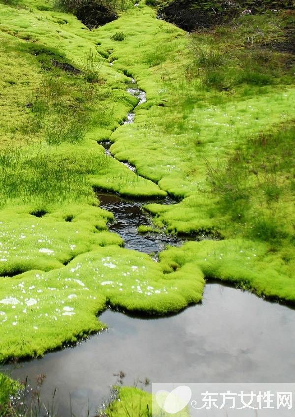 春冬换季养生 必吃的五款营养食谱