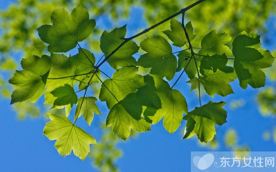 夏季养生小常识大全 别错过了这么棒的养生法