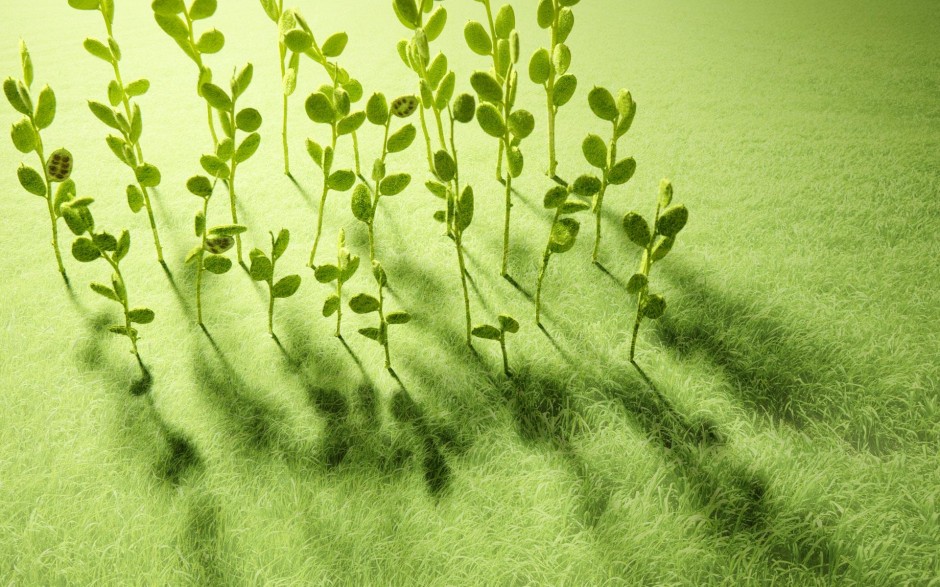 该如何预防癌症 记住这几点远离癌症