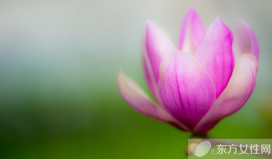 如何防御禽流感 别慌把这些办法牢记在心