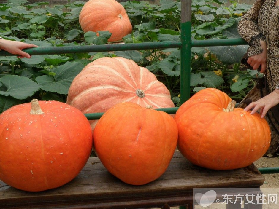 大暑吃什么好 吃这些养生又有益