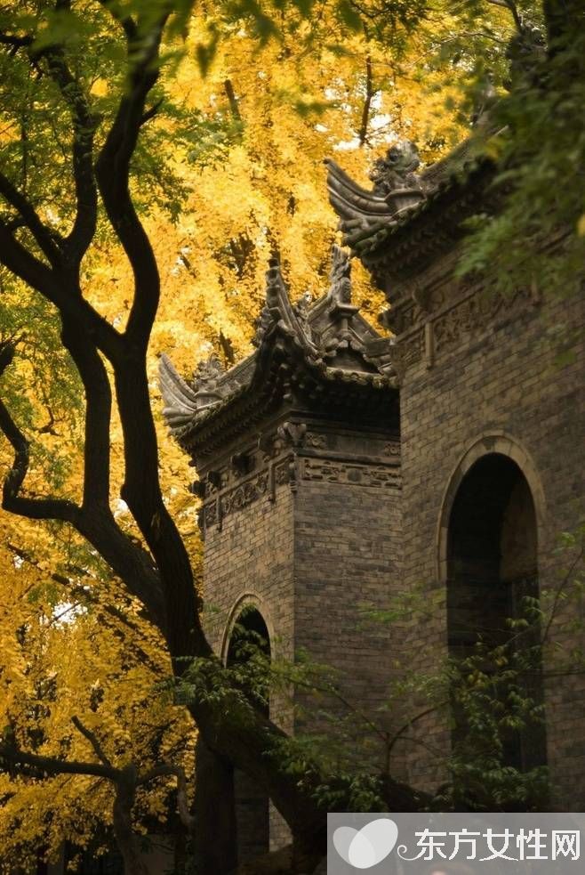 春季养肝食谱 多吃这些让你健康一整年