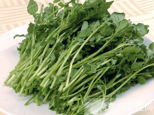 西洋菜的禁忌有哪些 它都有哪些功效与作用