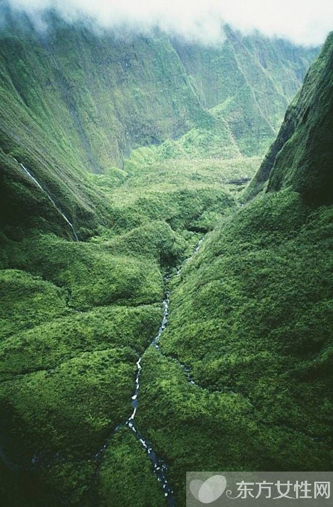 春冬换季养生 必吃的五款营养食谱