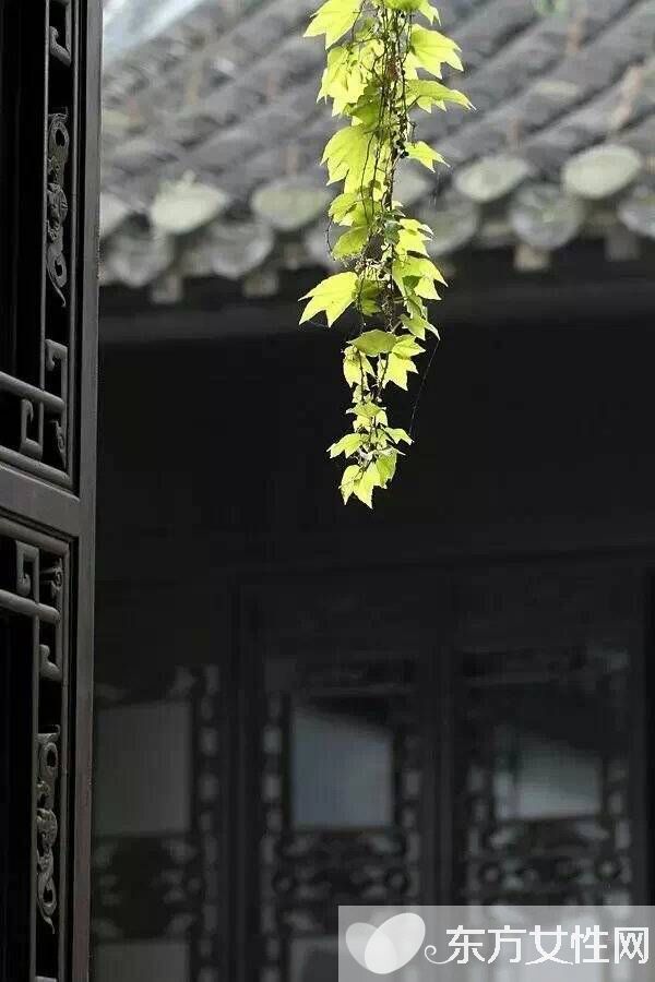 春季养肝食谱 多吃这些让你健康一整年