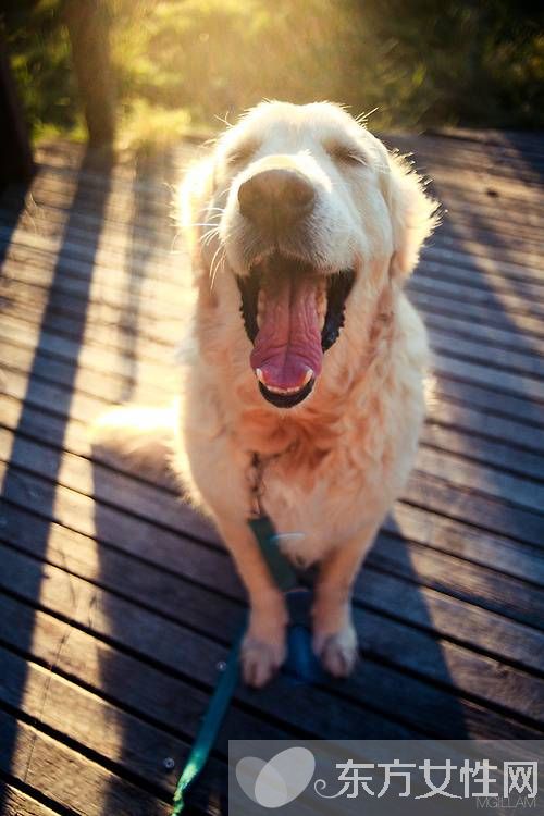 偏瘫患者饮食要注意哪些 该怎么预防及预后