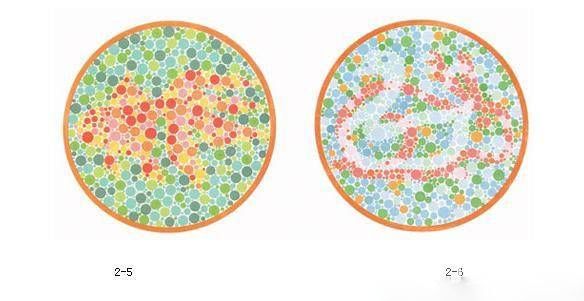 色盲测试图 色盲和色弱最大的区别在那里