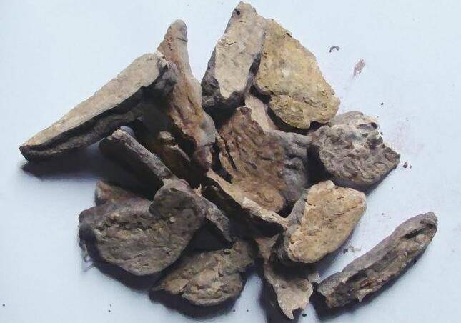 何首乌的功效与作用 它有哪些副作用