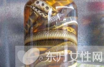 乌梢蛇的功效作用 乌梢蛇的4大食用方法