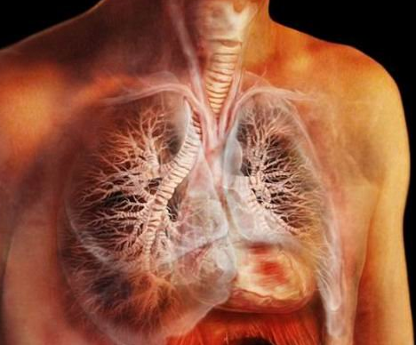 肺部感染的症状有哪些呢 该如何进行治疗