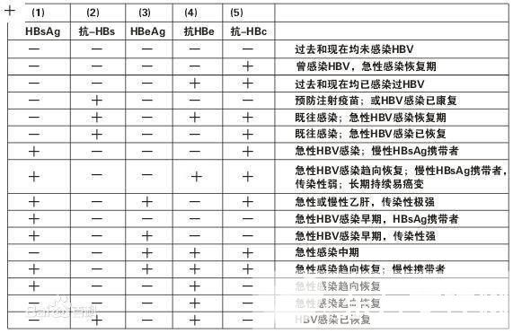 乙肝两对半是什么 乙肝两对半对照表