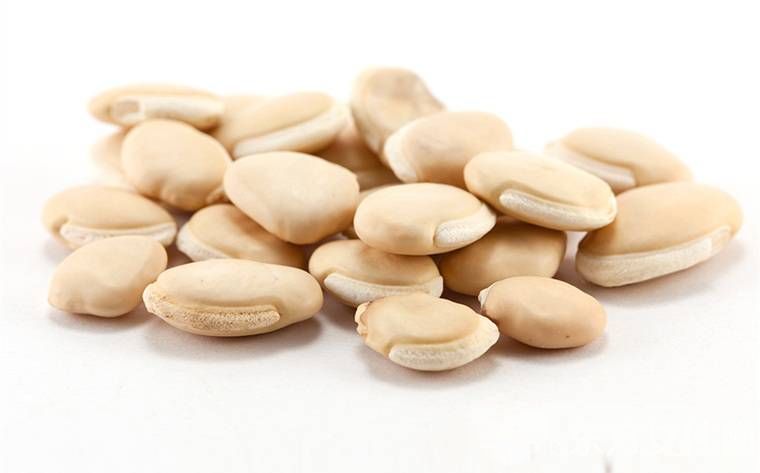 祛湿的食物有哪些 早起出现这些情况当心疾病预兆