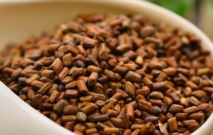 决明子的功效有哪些 决明子泡茶喝六大功效