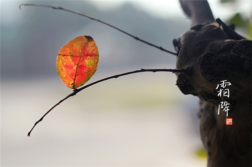 补冬不如补霜降 霜降养生要注意哪些