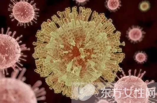 诺如病毒的症状有哪些 诺如病毒的7大预防