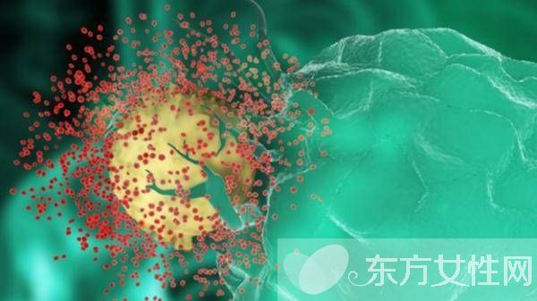 诱发病毒性疱疹的原因有哪些 疱疹病毒会传染吗