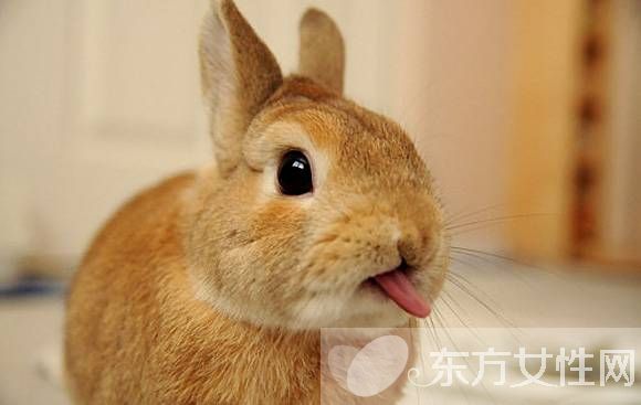 怎知湿气重 晨起三大症状需警惕