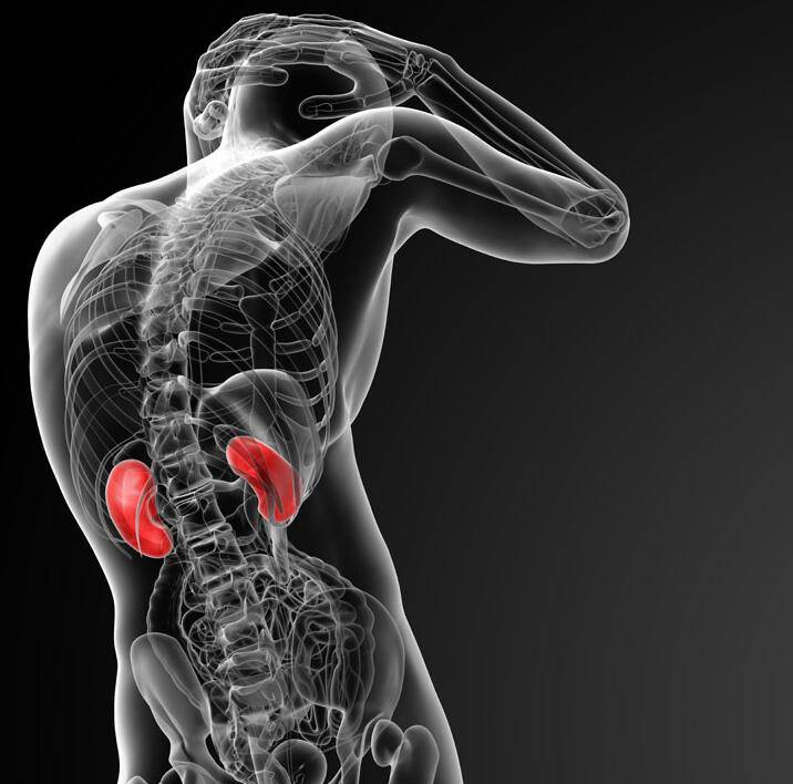 老中医的十种养肾方法 吃什么最养肾