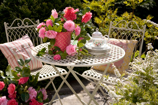 女性冬季养生茶 选对配方既养生又养颜