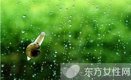 祛湿的食物有哪些 早起出现这些情况当心疾病预兆