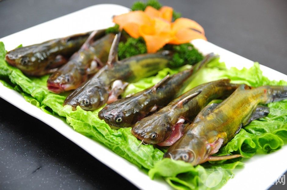 黄鳝鱼的六大家常做法 你被馋到了吗