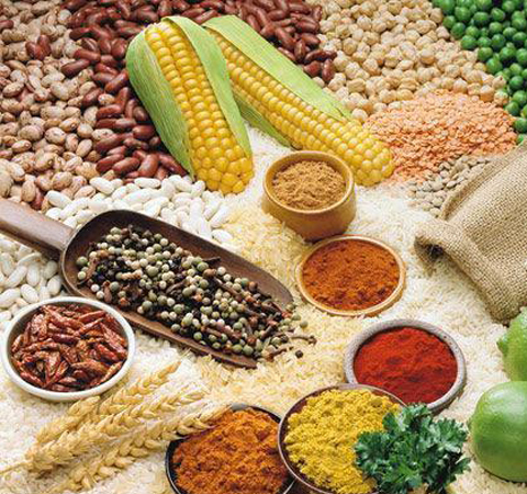 膳食纤维的十大作用 搭配食用更健康