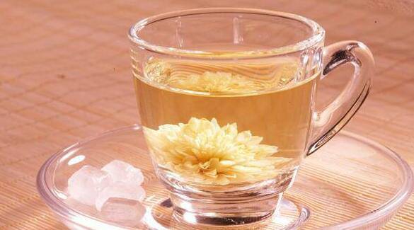 款冬花的功效与作用 它的最佳食疗方法