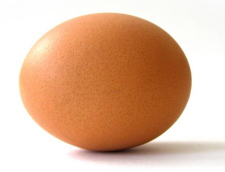 女性养生美容应多吃哪些食物呢