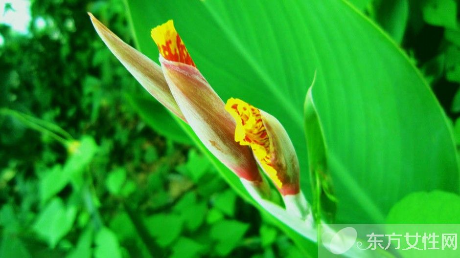 心绞痛的早期症状表现 出现这些状况一定要引起重视