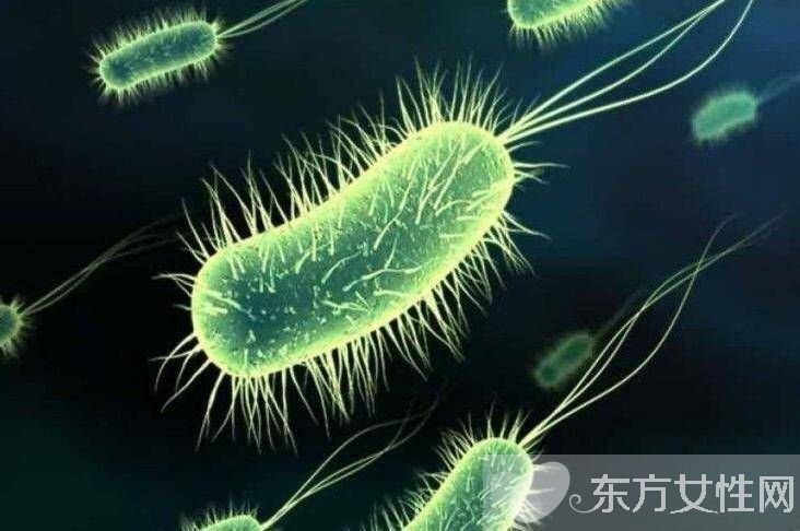 结核性脑膜炎会传染吗 脑膜炎的传染途径