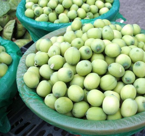 莲心泡茶能隔夜喝吗 揭莲心茶的好处