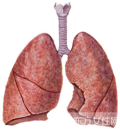 肺气肿会传染吗 治疗肺气肿的食疗偏方推荐