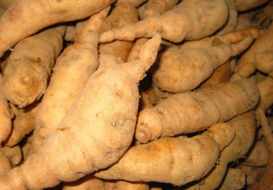 日常五种降血糖的中药饮食 你知道吗