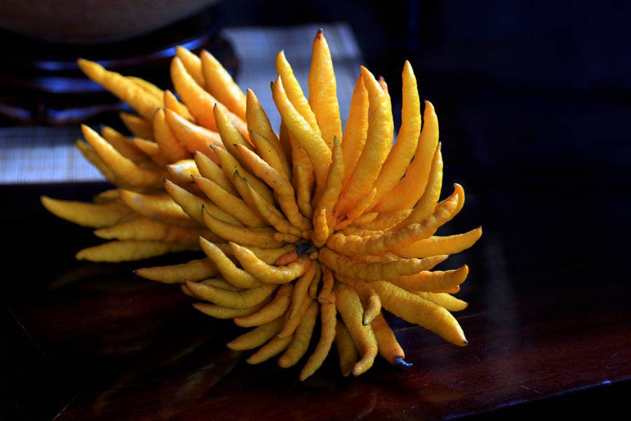 疱疹的最佳治疗方法 食疗也可治疱疹