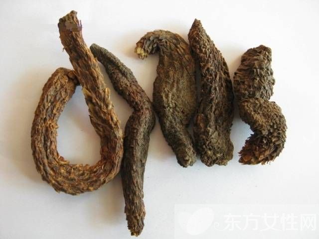 细菌性阴道炎的治疗 这些阴道炎的食疗偏方很管用哦