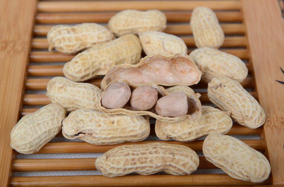 水煮花生米的做法大全 花生的营养价值