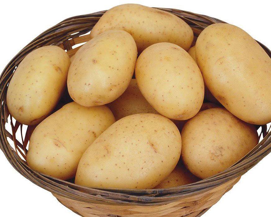 探究山药蛋的功效与作用 这些你要知道