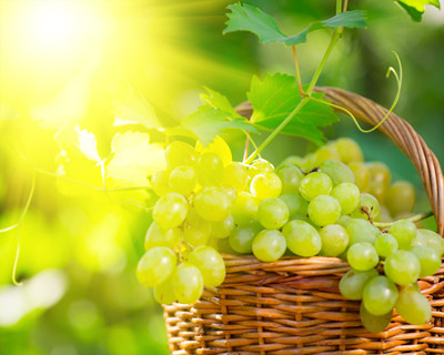 多吃提子还能抗衰老 揭提子的功效与作用