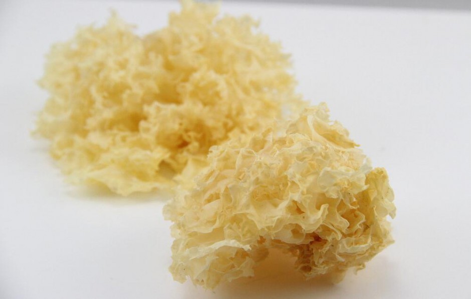 简单几步做出美味红枣银耳汤 美容养颜抗衰老