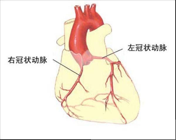 肺心病症状及治疗 中医治疗肺心病小妙方推荐