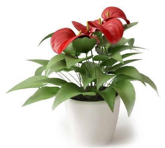 健康生活保健法 如何对付身体缺氧现象