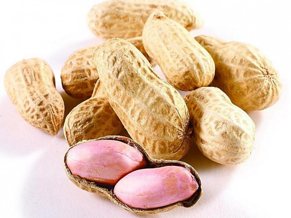 水煮花生米的做法大全 花生的营养价值