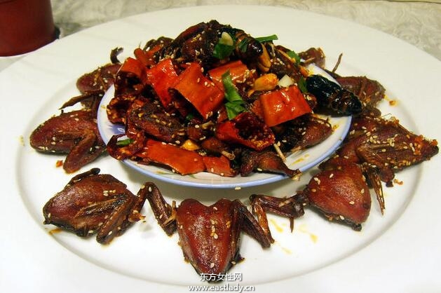 金蝉花的功效与作用有哪些 什么人不能吃