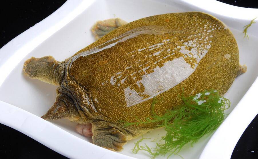 想要告别黄脸婆 这些食物要多吃